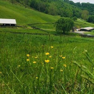 Meet your Posher, Kyla-jo